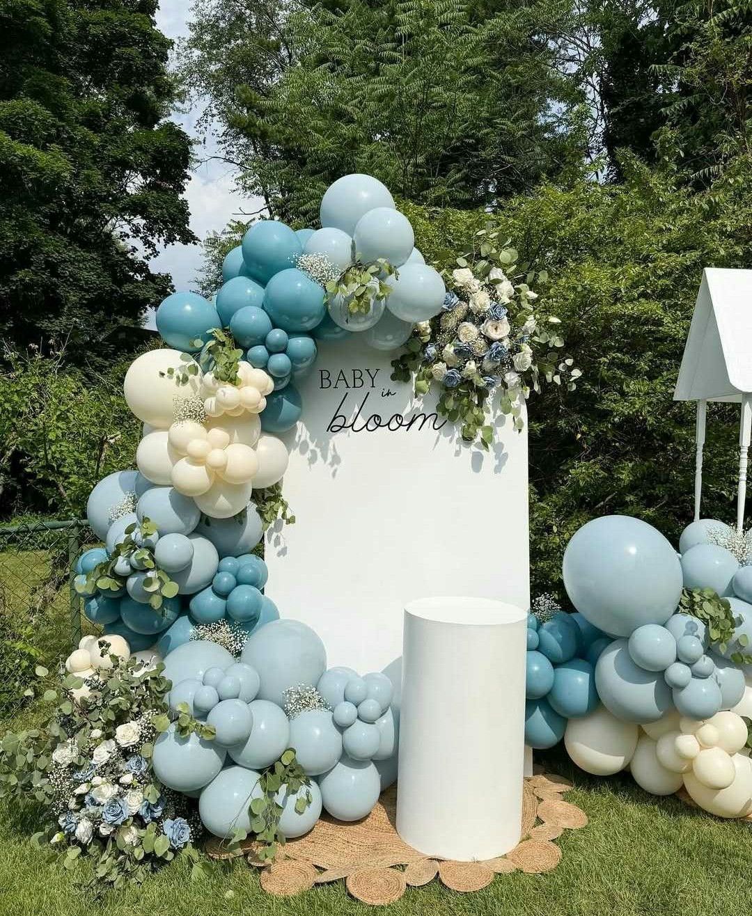 6/10 It's a Boy!